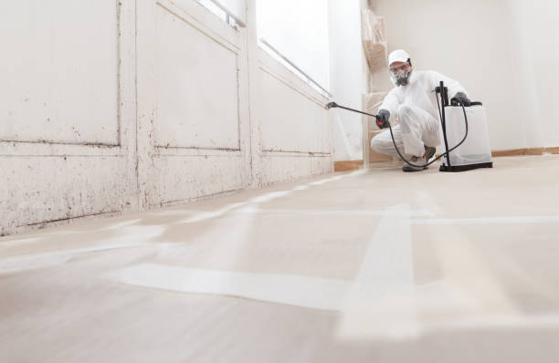 24/7 Emergency Mold Testing experts in Cary, NC