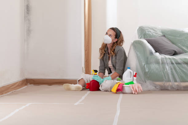 Reliable Mold Testing contractor in Cary, NC by WQB Mold Removal